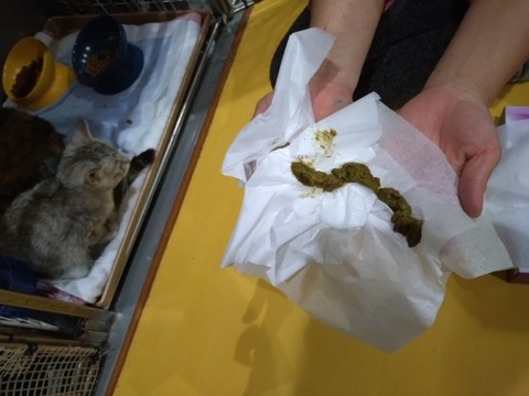 20251210_192023_copy_800x600