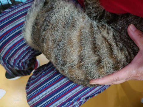 20230223_165606_copy_800x600