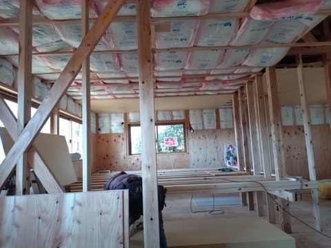 20260105_111145_copy_800x600