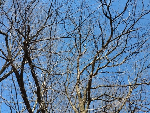 20251226_105500_copy_800x600