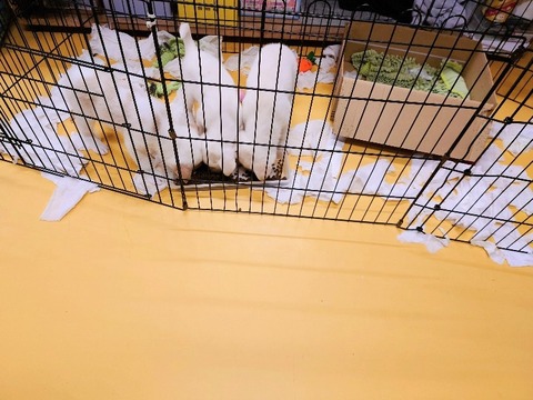 20231225_184610~3_copy_800x600