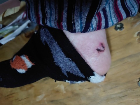 DSC_0237_copy_800x600