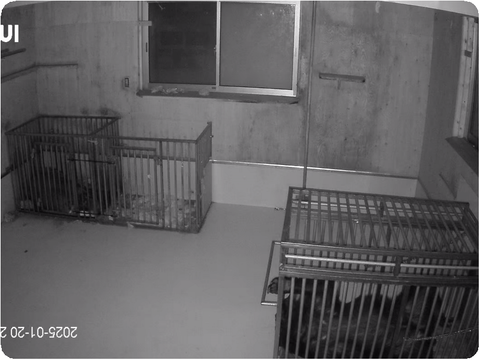 Screenshot_20250120-225035