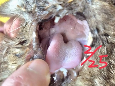 1772269489650_copy_800x599