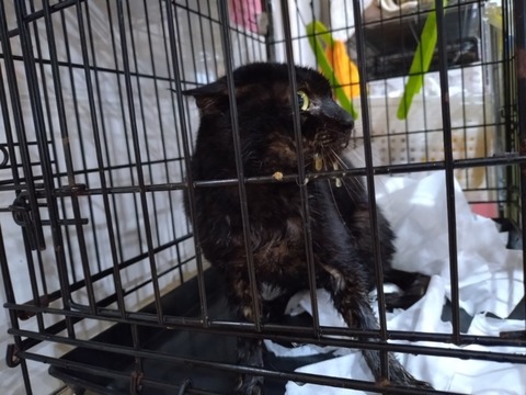 20251208_080213_copy_800x600