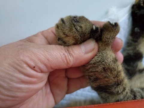 20251224_135505_copy_800x600