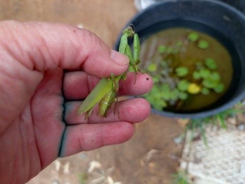 20251003_094901_copy_800x600