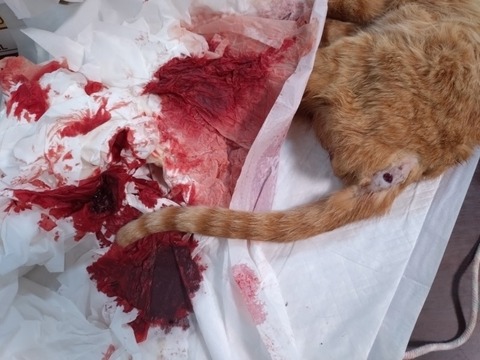 20260125_163359_copy_800x600