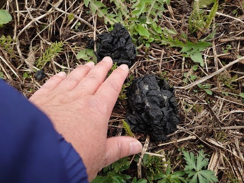 DSC_5689_copy_800x600