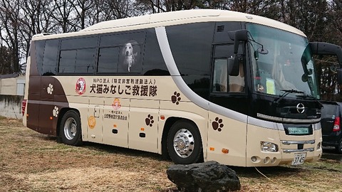 DSC_5703-800x450