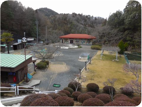 DSCN4641