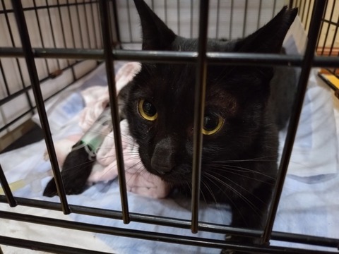 20250925_094334_copy_800x600