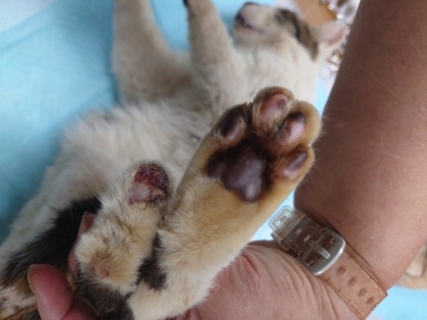 20240312_095855~2_copy_800x600