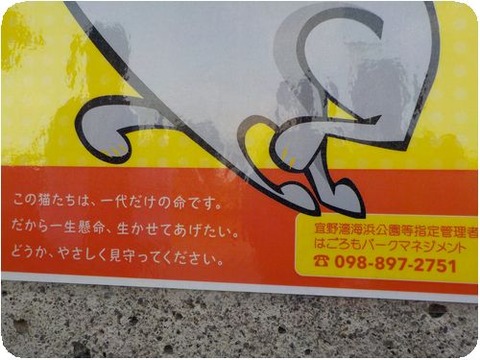 DSCN4991
