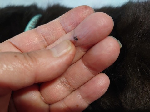 DSC_5676_copy_800x600