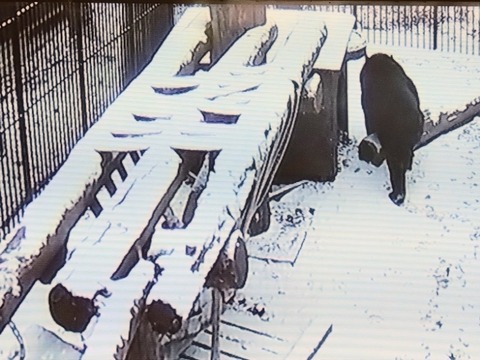 20260208_075110~2_copy_800x600