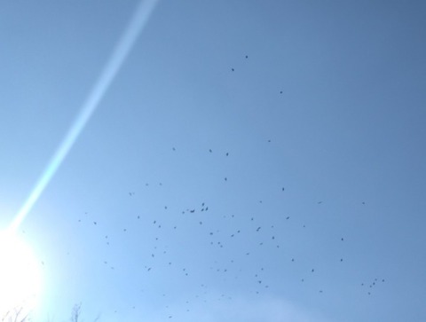 20251230_135552_copy_2192x1492_copy_788x596