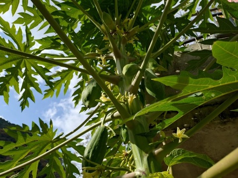 20251128_101041_copy_800x600_1