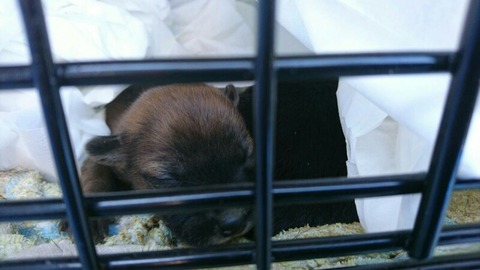 1519952159782-800x450