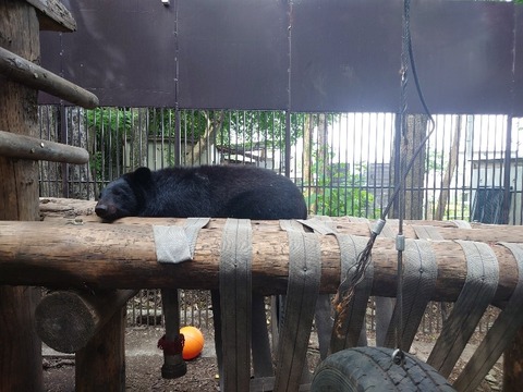 20230606_154945_copy_800x600