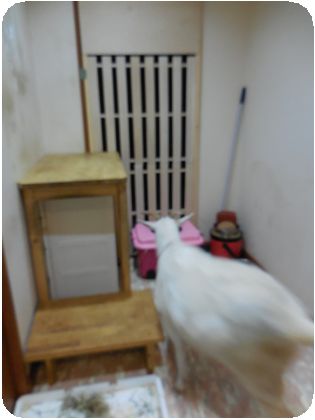 DSCN0151