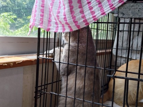 20250620_124425_copy_800x600