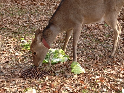 20260102_090252_copy_816x612