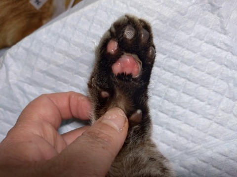 20260109_113613_copy_800x600