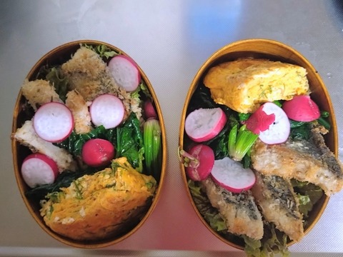 20251122_060048~2_copy_800x600