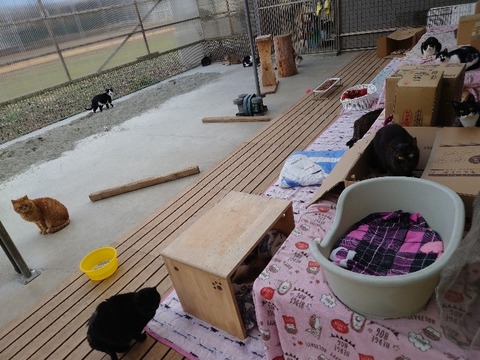 20230302_163737_copy_800x600