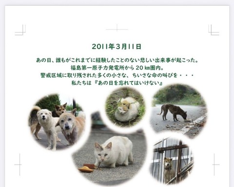 1772491118666_copy_800x640_copy_800x640