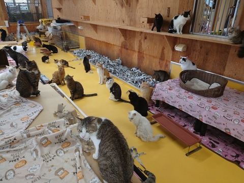 20230606_164408_copy_800x600