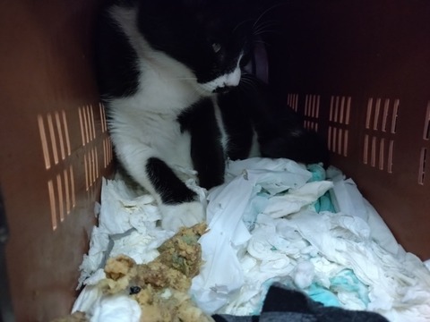 20251029_114905_copy_800x600