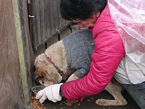 DSC_4478-800x600
