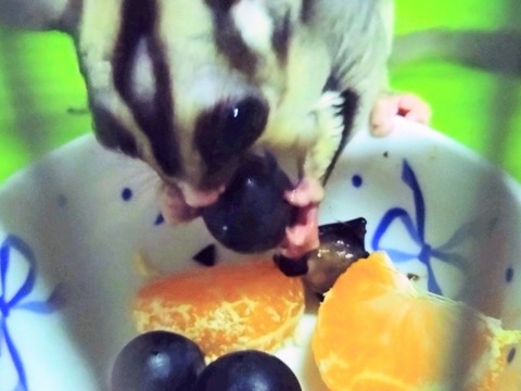 20260118_070248~2_copy_800x600