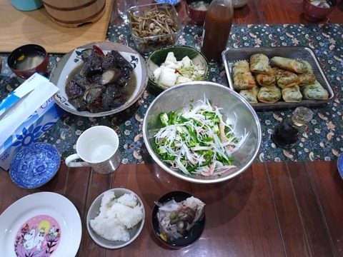 20251212_123051_copy_800x600