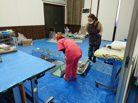 20230403_082214_copy_800x600