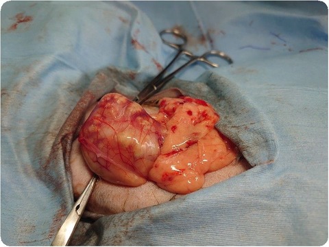 DSC_4078_copy_800x600