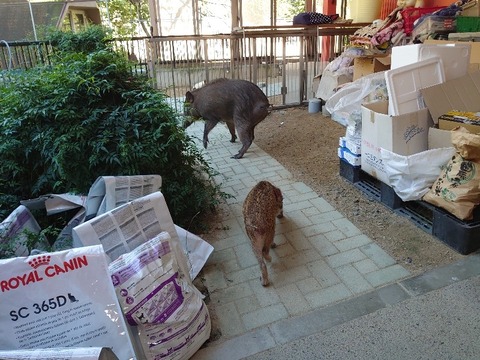 DSC_1655_copy_800x600