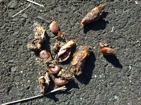 20251023_092811_copy_800x600