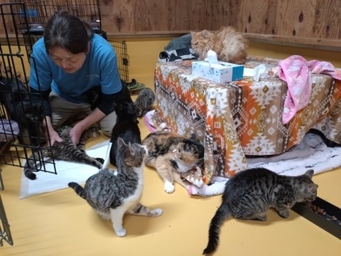 20260304_080633_copy_800x600