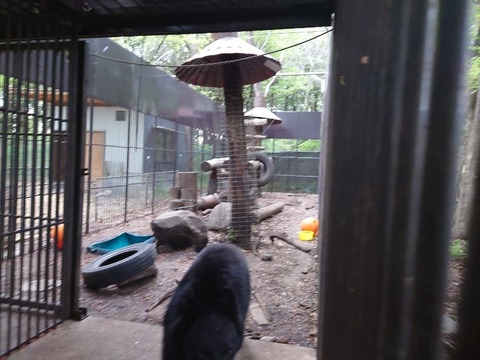 20230421_163556_copy_800x600