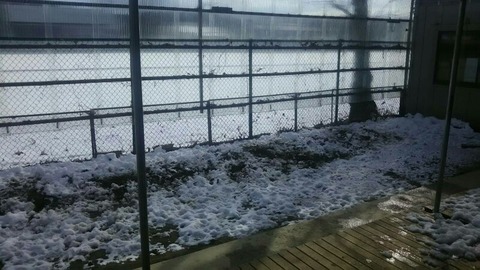 1516854773632-800x450