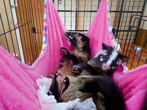 20230225_133607~2_copy_800x600