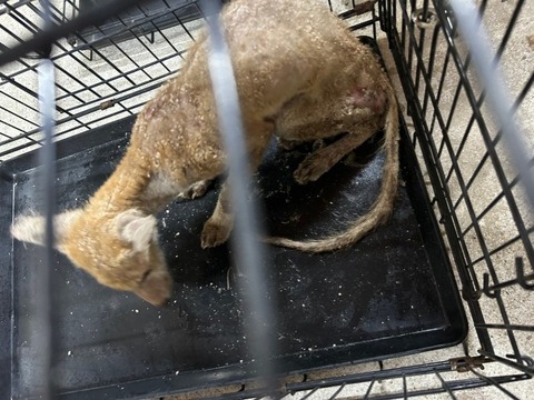 1758632344281_copy_738x554