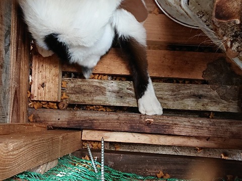 DSC_6324_copy_800x600