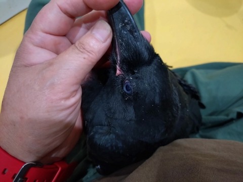 20250620_135740_copy_800x600