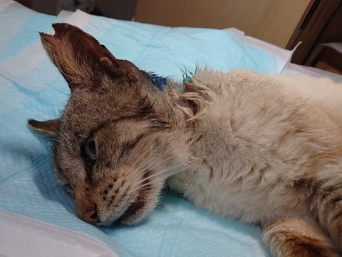 DSC_4248_copy_800x600