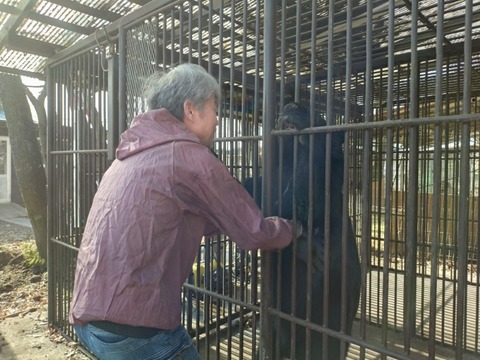 20260206_095038_copy_800x600