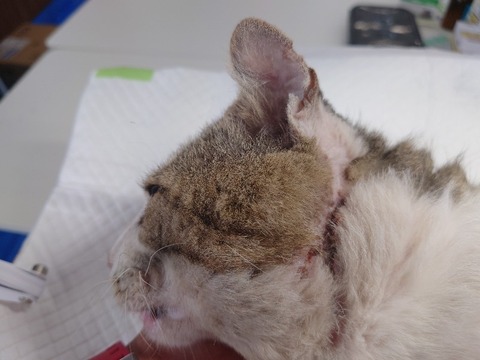 20230620_090217_copy_800x600